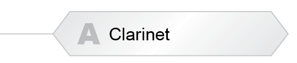 The Answer Is A - Clarinet