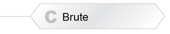 The Answer Is C - Brute