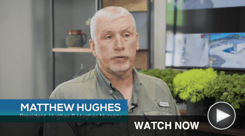 hughes spotlight